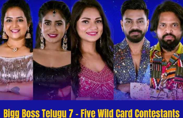 Bigg Boss 7 Telugu Wild card entrants in the 2.0 launch