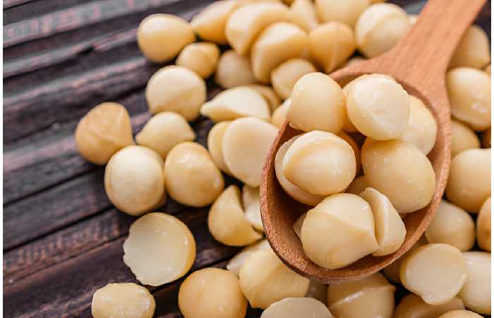 Macadamia nuts