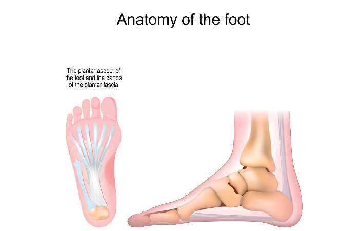 Plantar Fasciitis Surgery (1)