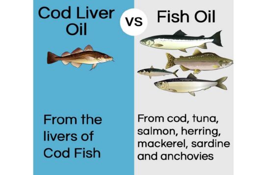 Cod Liver Oil Vs Fish Oil