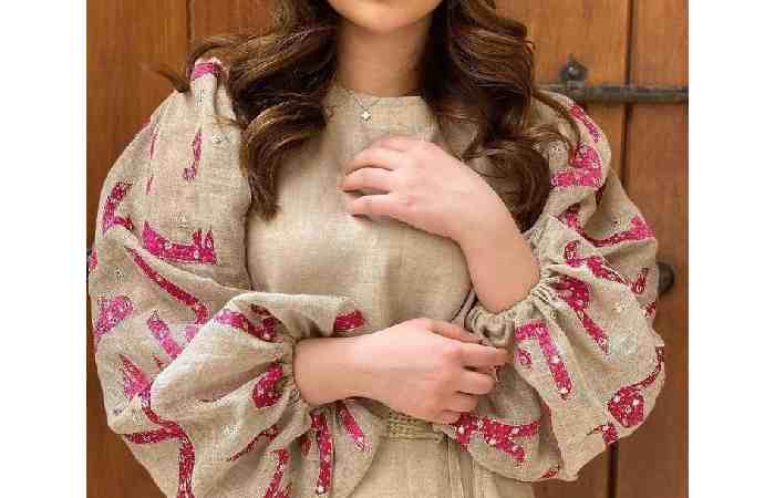 Modern Sleeves Design For Kurti (8)