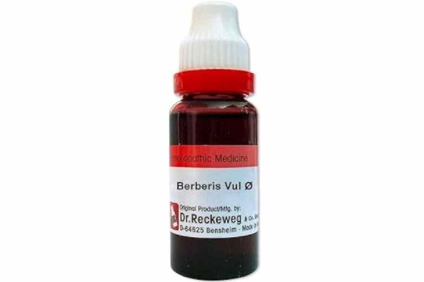 Berberis Vulgaris Homeopathic Medicine